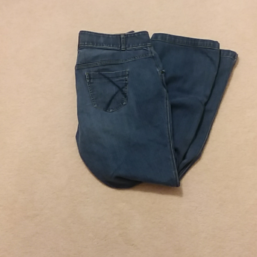 Layne Bryant flare leg jeans